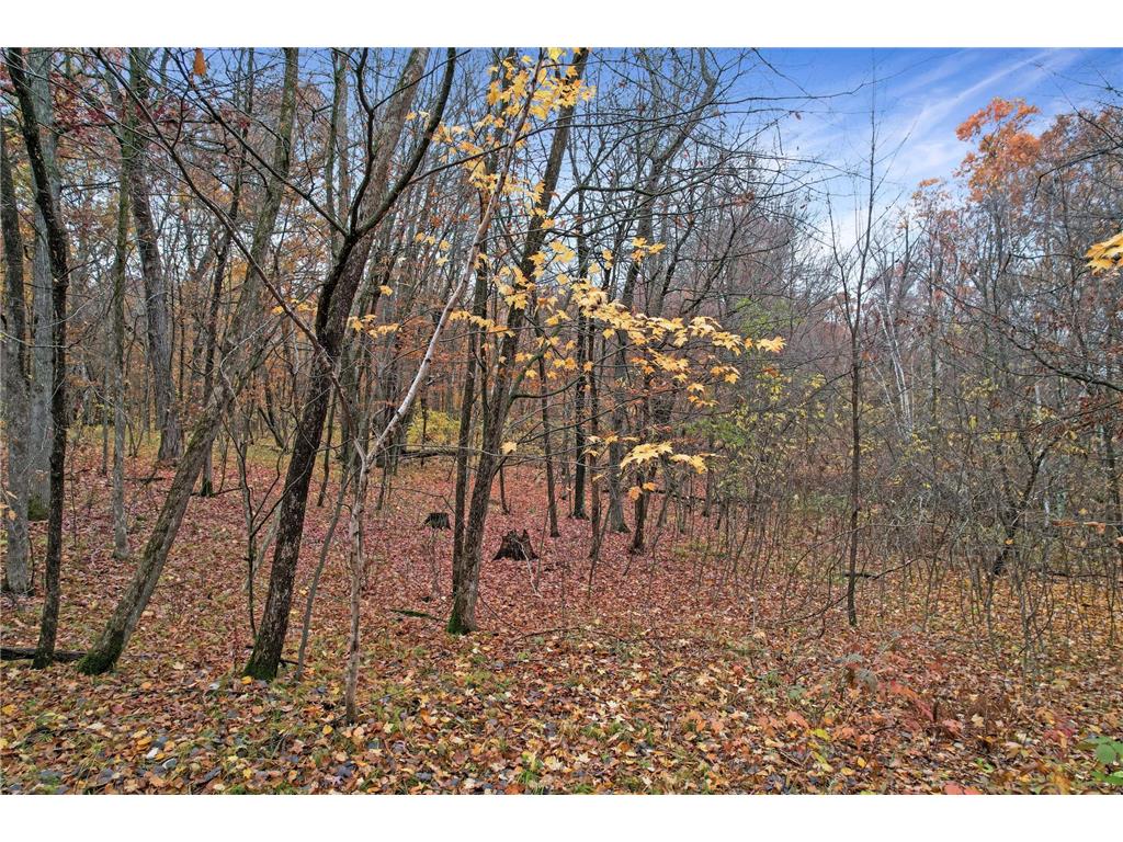 xxxx 201st Eureka WI 54024 6453058 image1