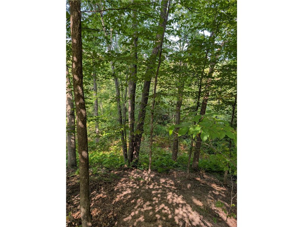 xxxx 217 Avenue NW Elk River MN 55330 6770515 image13