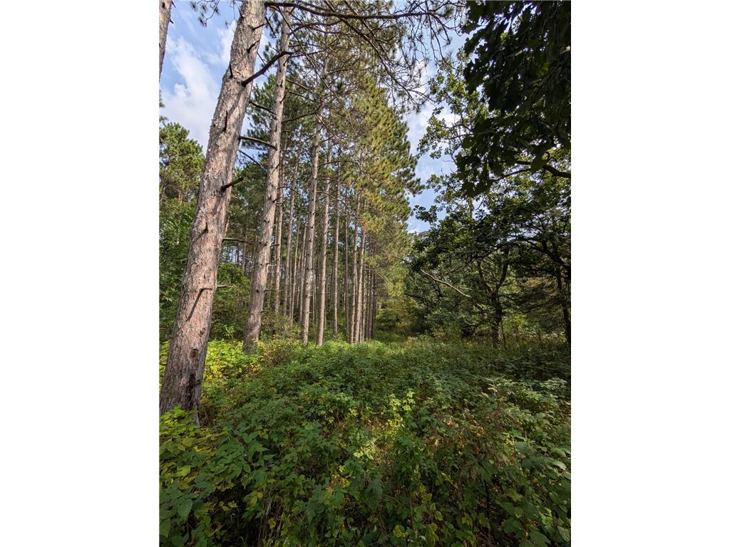 xxxx 217 Avenue NW Elk River MN 55330 6770544 image14