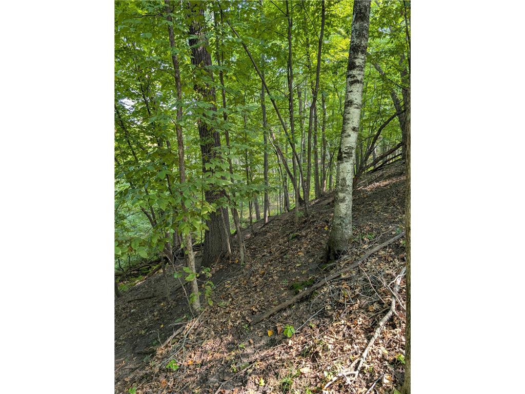 xxxx 217 Avenue NW Elk River MN 55330 6770552 image12