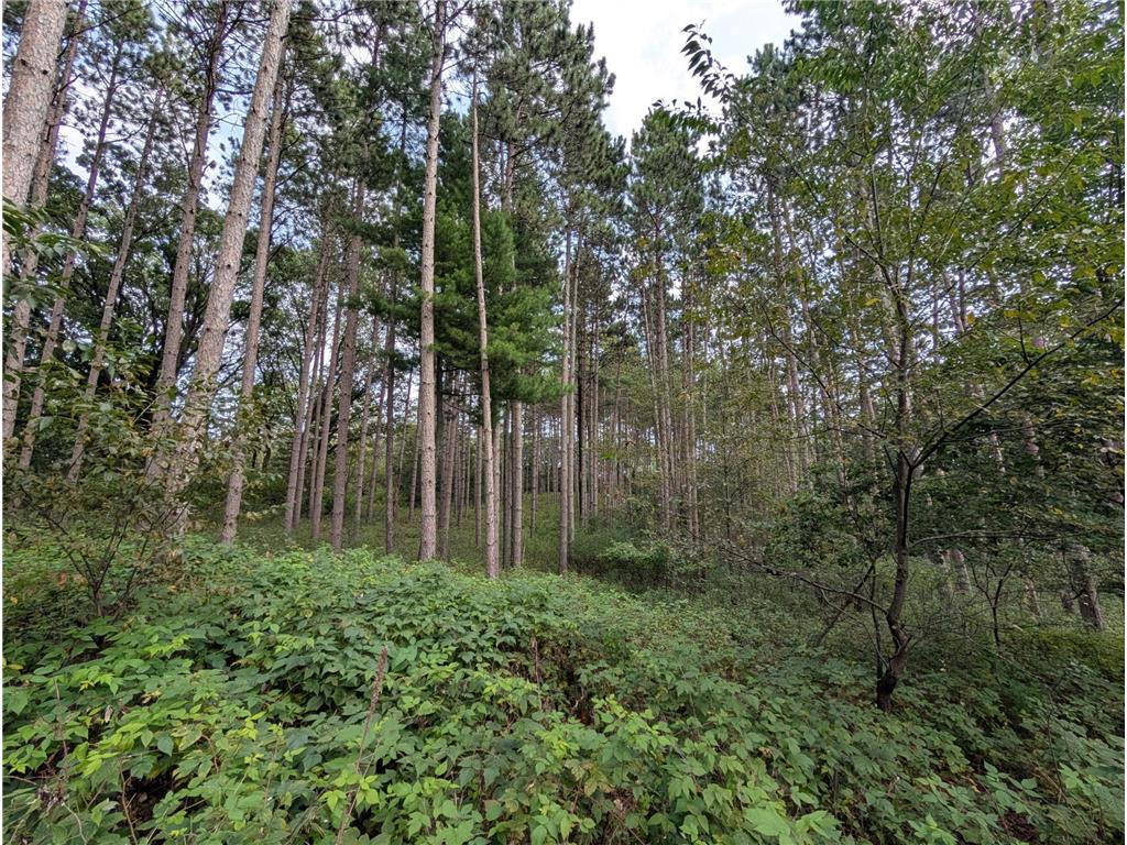 xxxx 217 Avenue NW Elk River MN 55330 6770552 image23