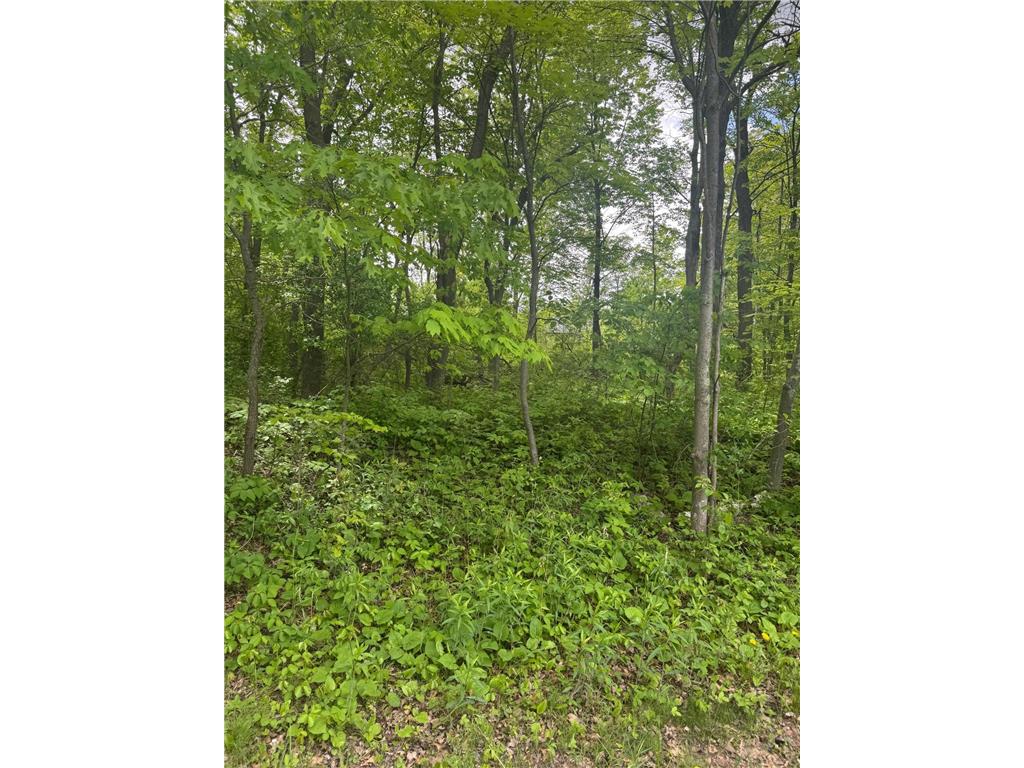 xxxx 241st Avenue NE Linwood Twp MN 55079 6722078 image1
