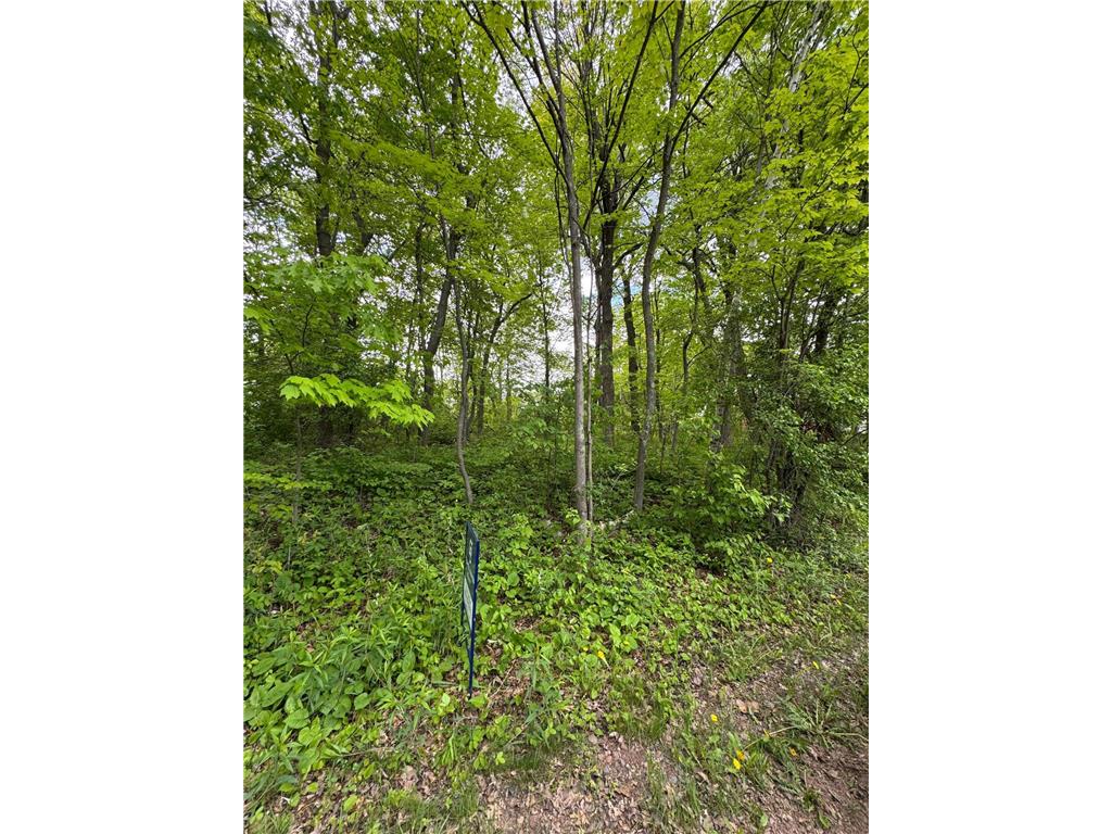 xxxx 241st Avenue NE Linwood Twp MN 55079 6722078 image4