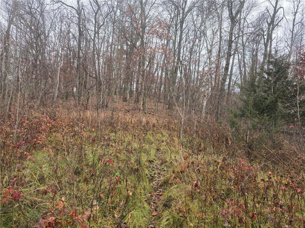 xxxx 244th St N Scandia MN 55073 6821758 image1