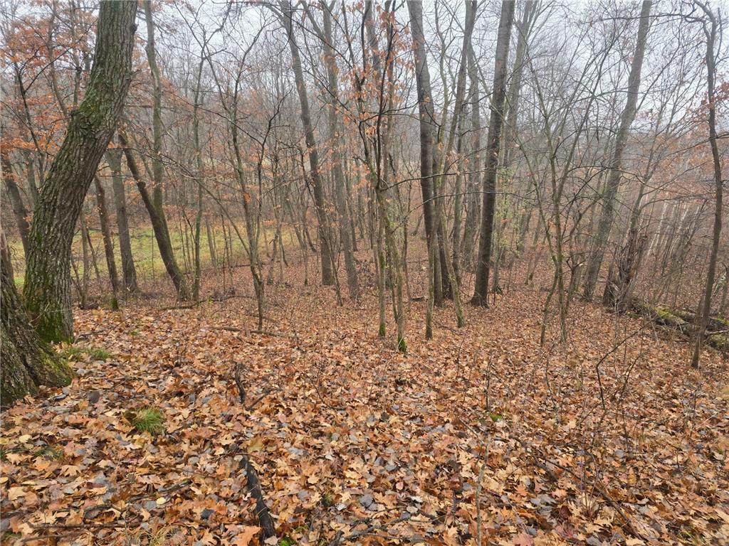 xxxx 244th St N Scandia MN 55073 6821758 image2