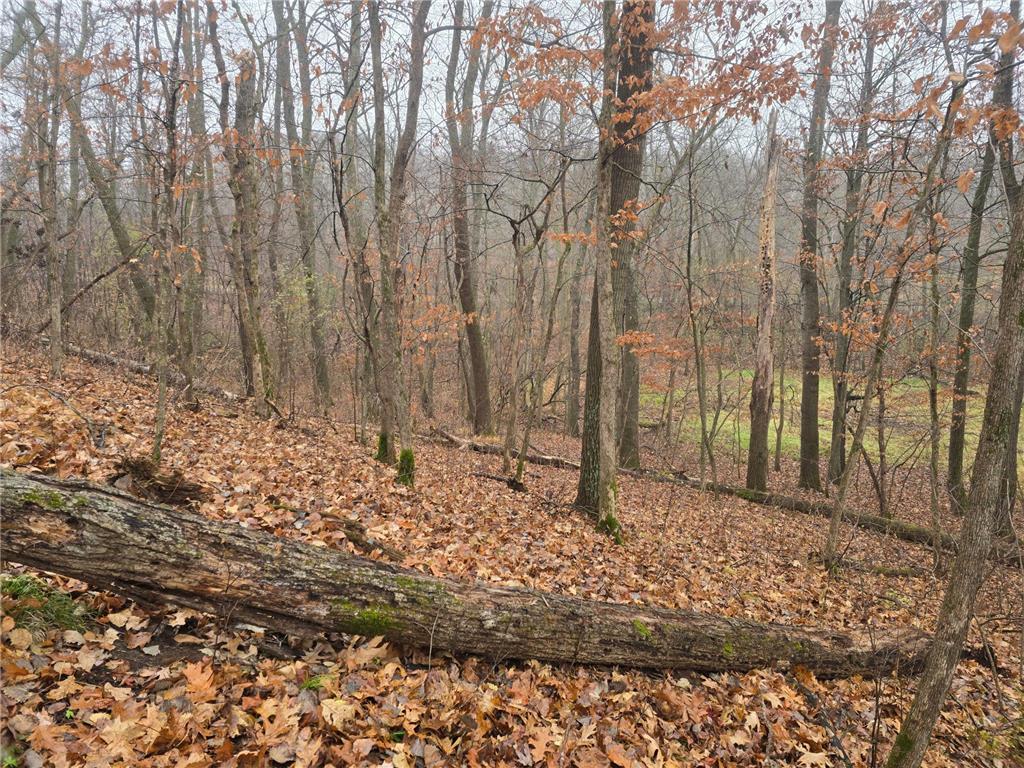 xxxx 244th St N Scandia MN 55073 6821758 image3