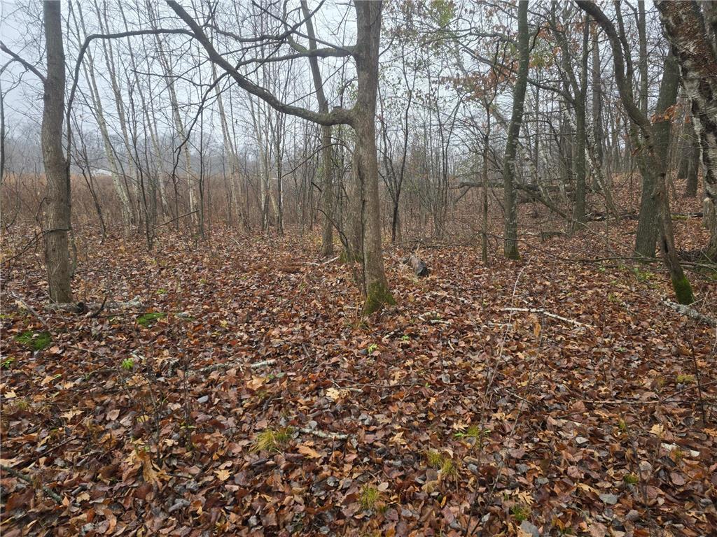 xxxx 244th St N Scandia MN 55073 6821758 image4