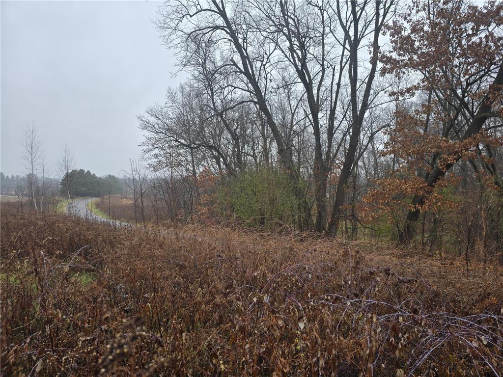 xxxx 244th St N Scandia MN 55073 6821758 image5