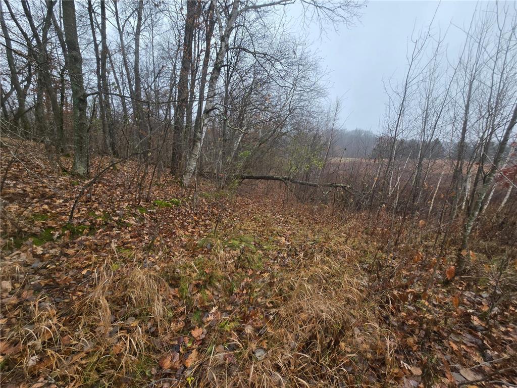 xxxx 244th St N Scandia MN 55073 6821758 image6