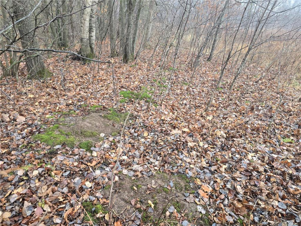 xxxx 244th St N Scandia MN 55073 6821758 image9