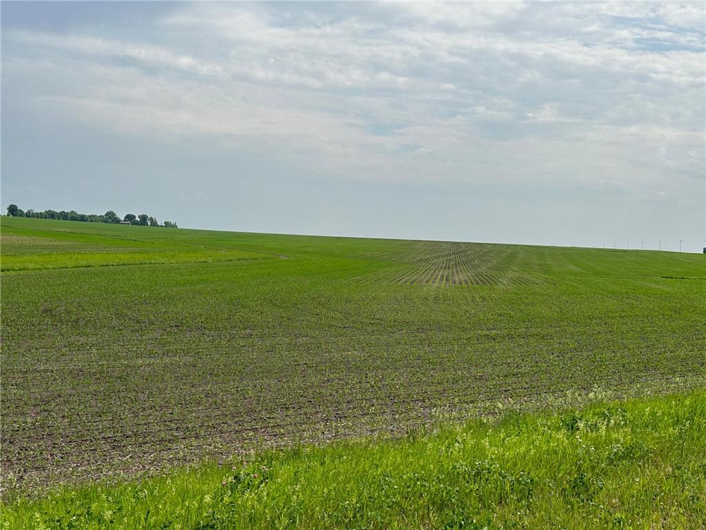  Pleasant Valley Twp MN 55936 6689380 image1