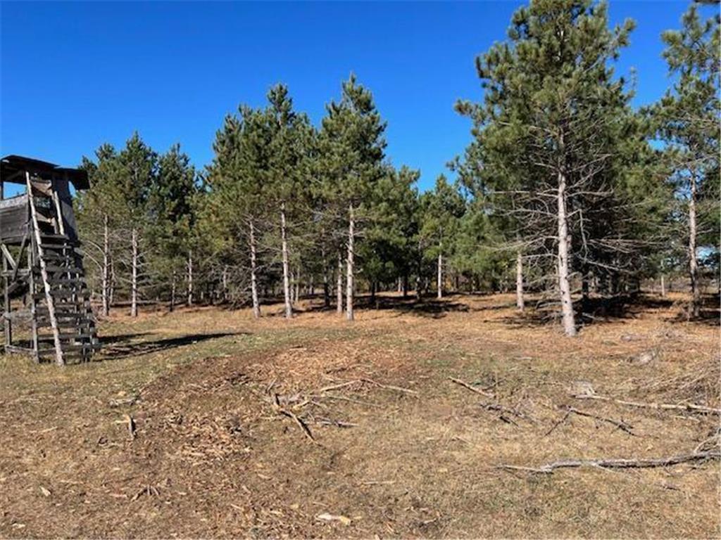 xxxx 308th Street Leaf Lake Twp MN 56571 6621961 image1