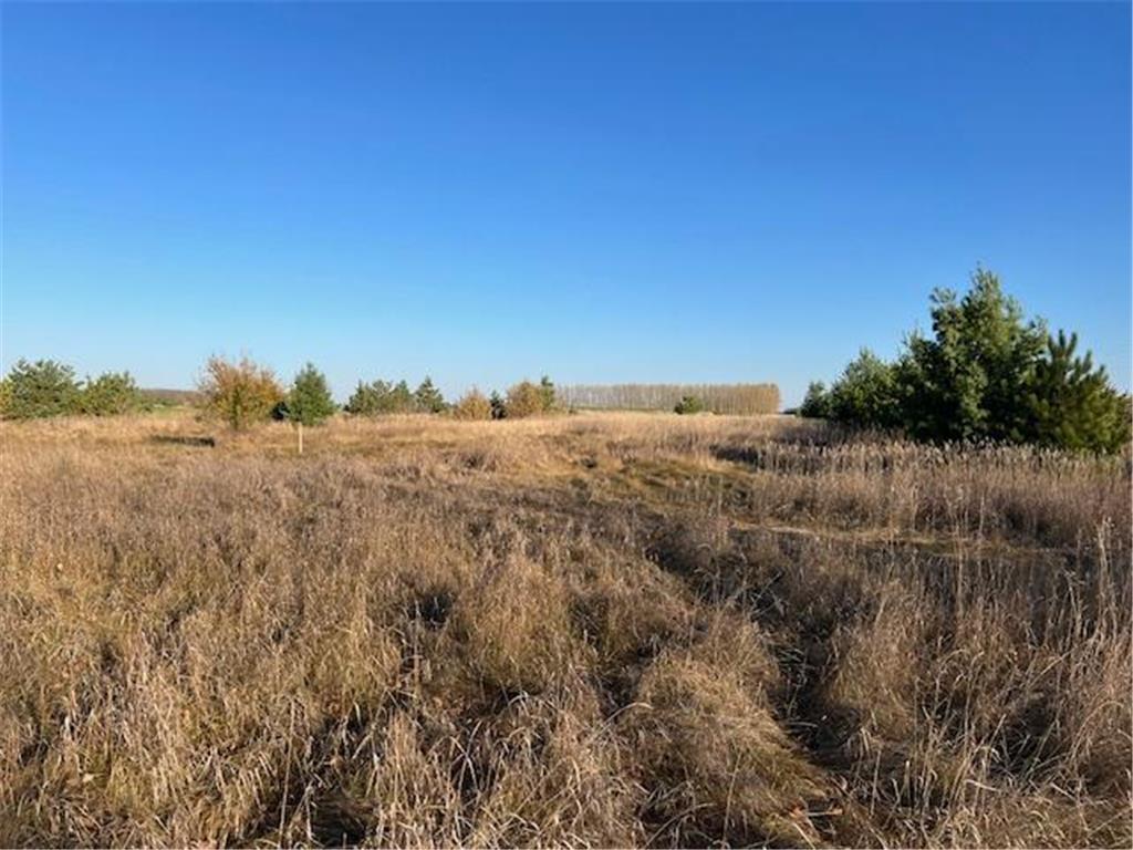 xxxx 460th Ave Rush Lake Twp MN 56573 6624085 image1