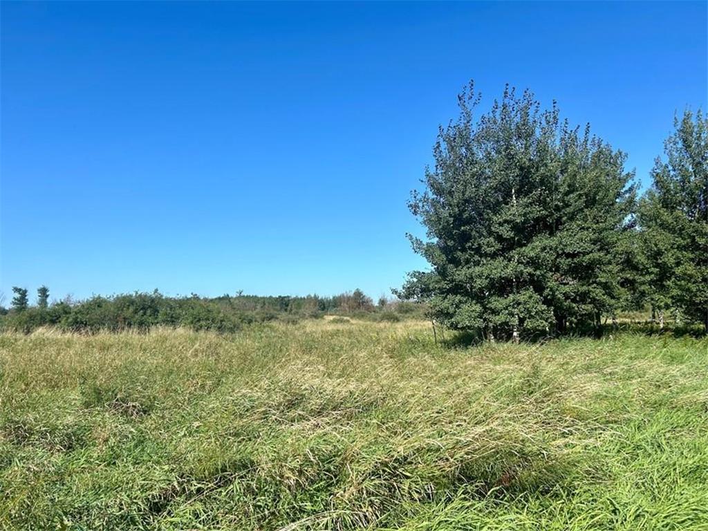 xxxx 580th Ave Deer Creek MN 56527 6597287 image1