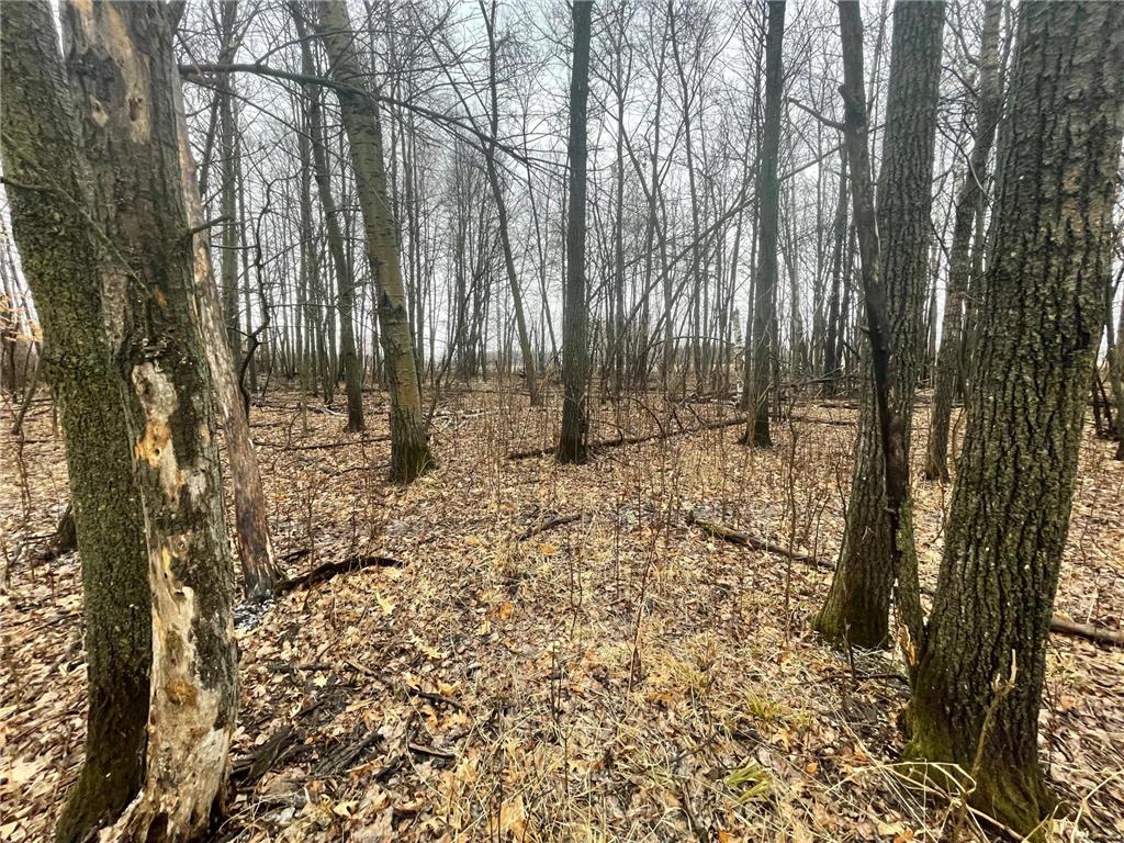 xxxx 65th St. NE, Gilmanton Twp, MN, 56329 MLS 6176129 Edina Realty