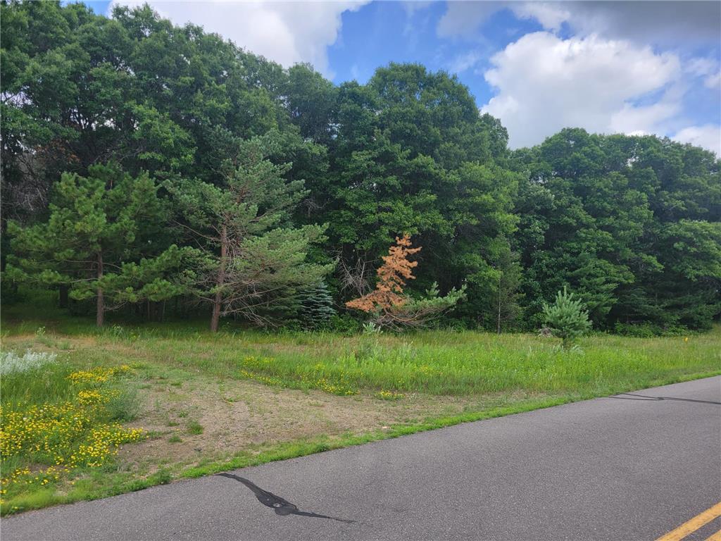 xxxx Angelina Drive Little Falls Twp MN 56345 6398019 image1