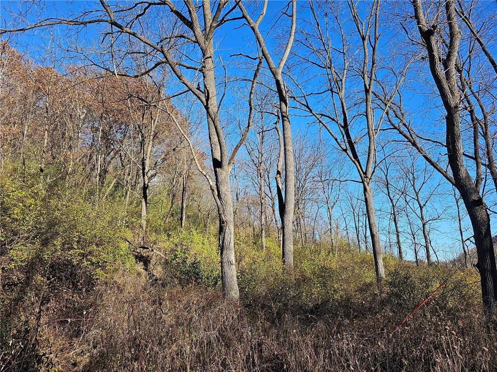 xxxx Braeburn Road Wilson Twp MN 55987 6460088 image1