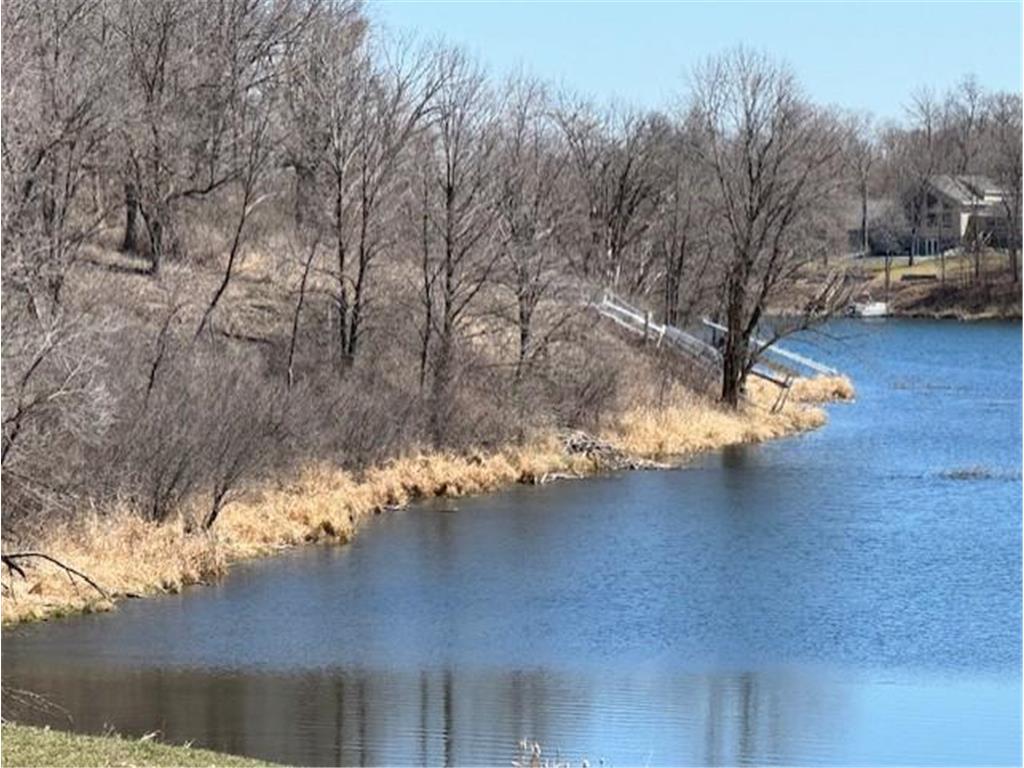 xxxx Bridgette Lane Audubon MN 56511 - Little Cormorant 6389546 image1