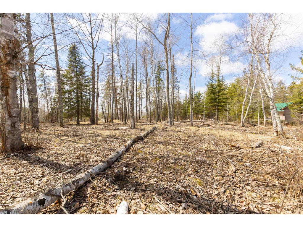 xxxx County 37 Lakeport Twp MN 56461 - Kabekona Lake 6674927 image1