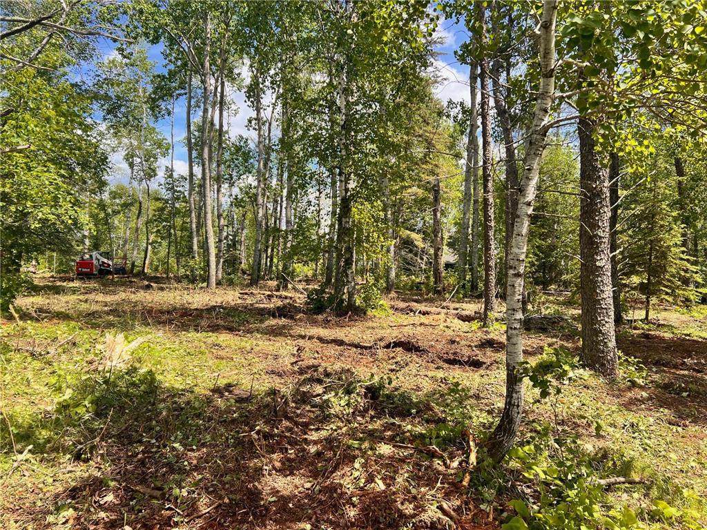 xxxx County 37 Lakeport Twp MN 56461 - Kabekona Lake 6674927 image3