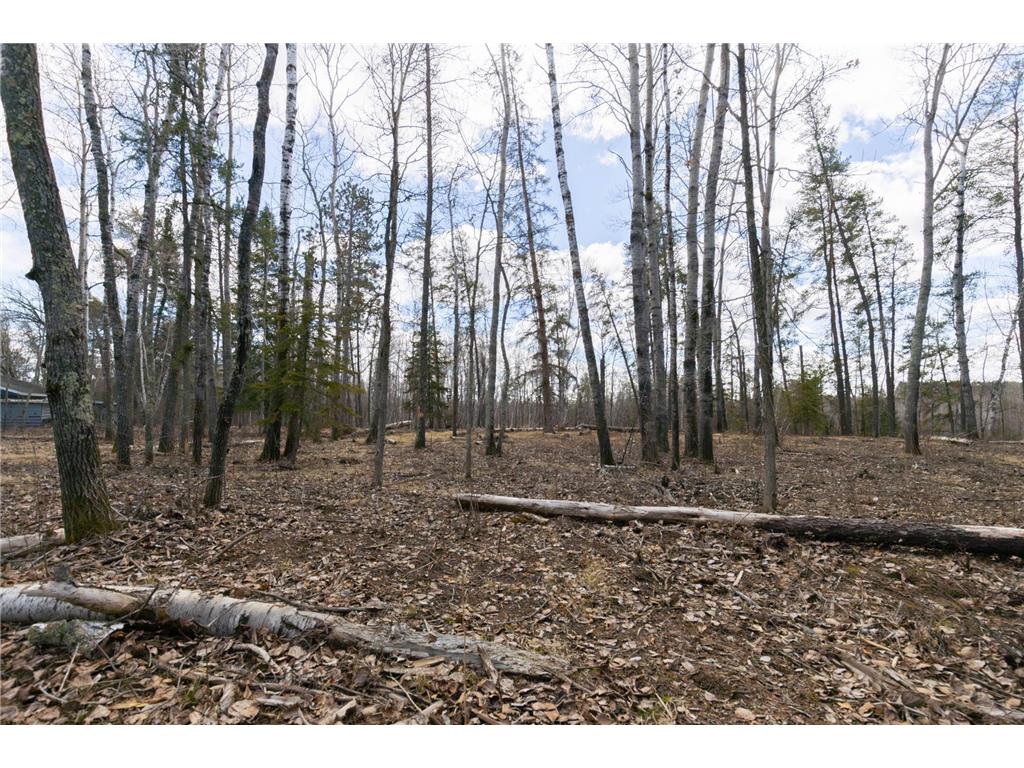 xxxx County 37 Lakeport Twp MN 56461 - Kabekona Lake 6674927 image8