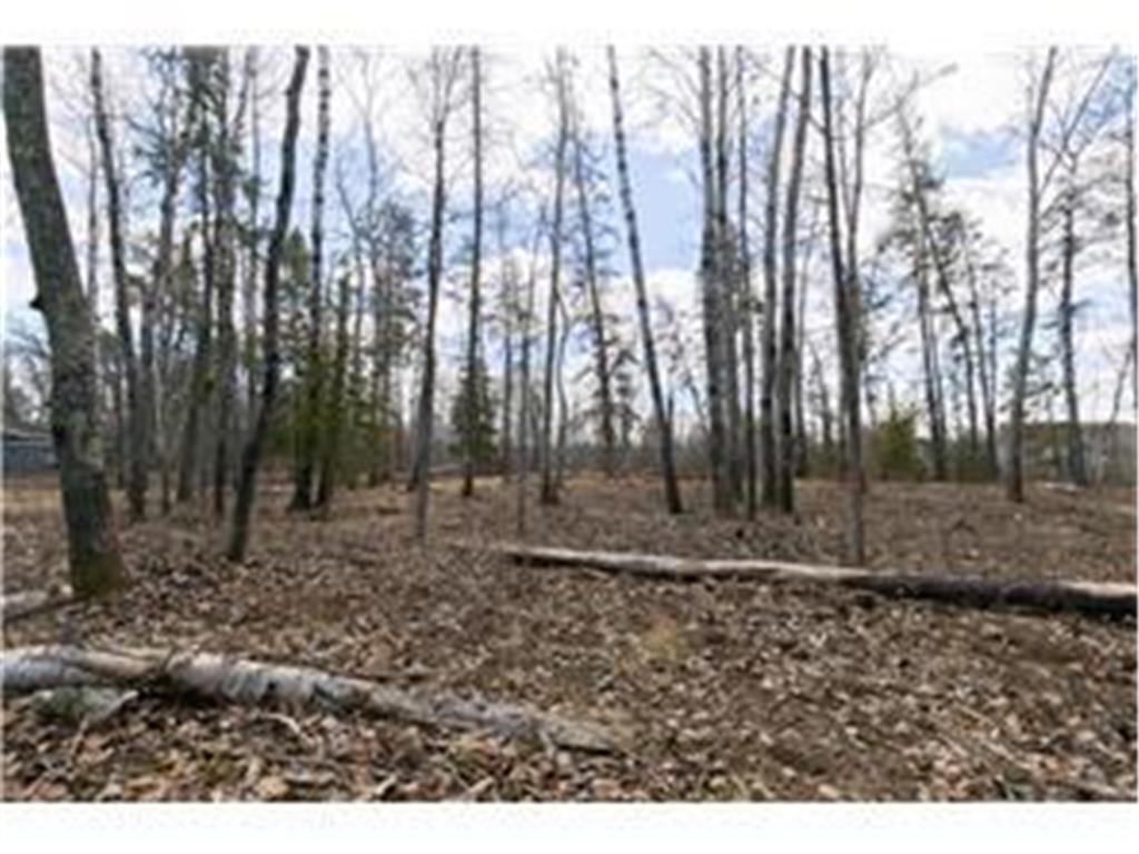 xxxx County 37 Lakeport Twp MN 56461 - Kabekona Lake 7104567 image1