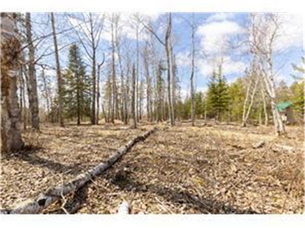 xxxx County 37 Lakeport Twp MN 56461 - Kabekona Lake 7104567 image8