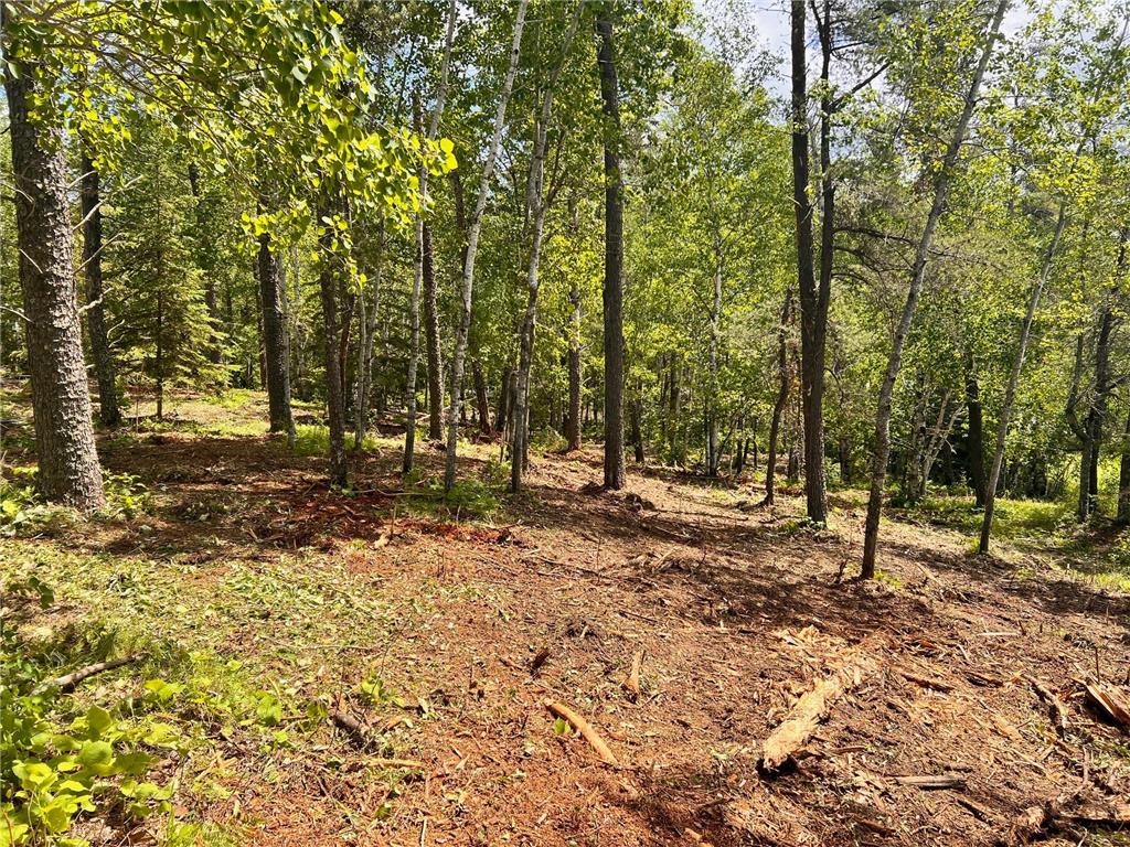xxxx County 37 Lakeport Twp MN 56461 - Kabekona Lake 7105990 image4