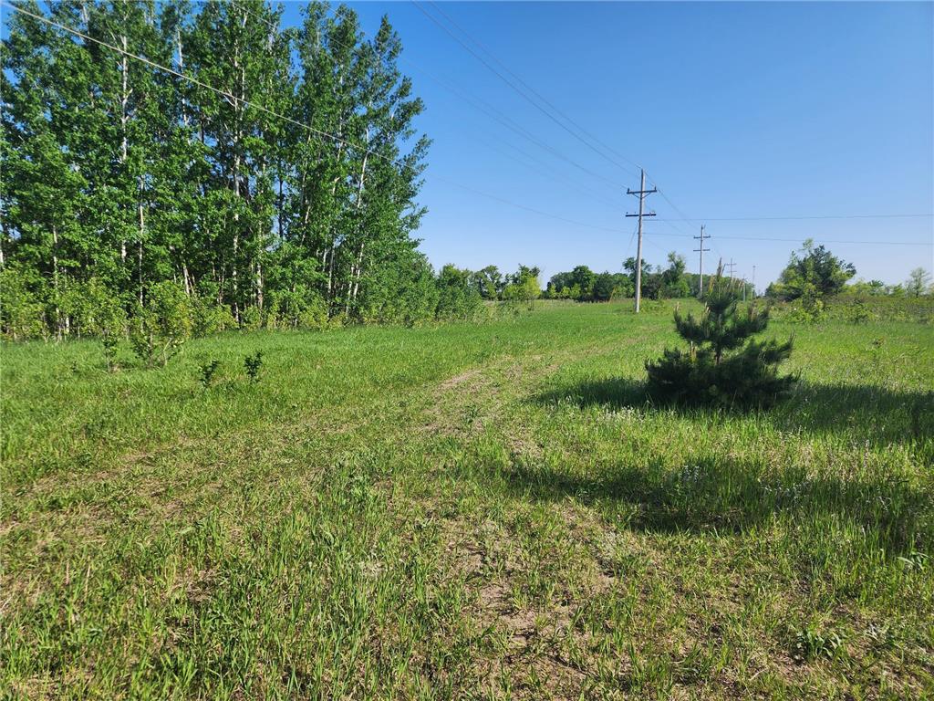 xxxx County rd 5, Long Prairie Twp, MN 56347 MLS 6375624 Edina Realty