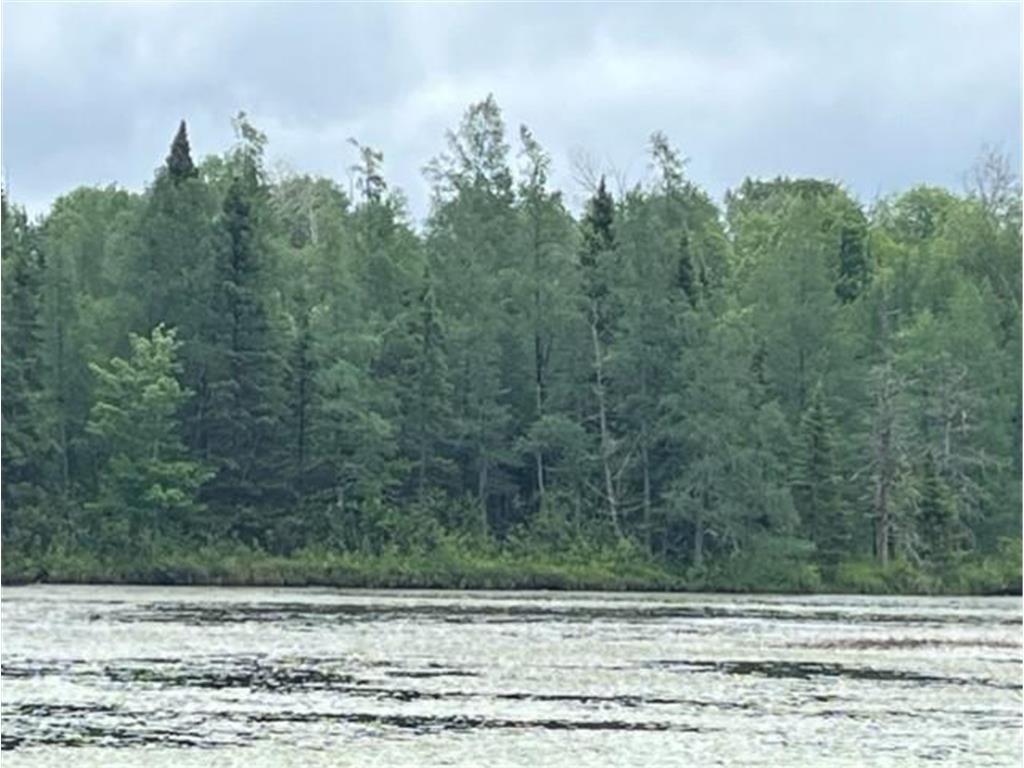 xxxx E Stone Lake Rd E Zim MN 55738 - West Stone 6340768 image1