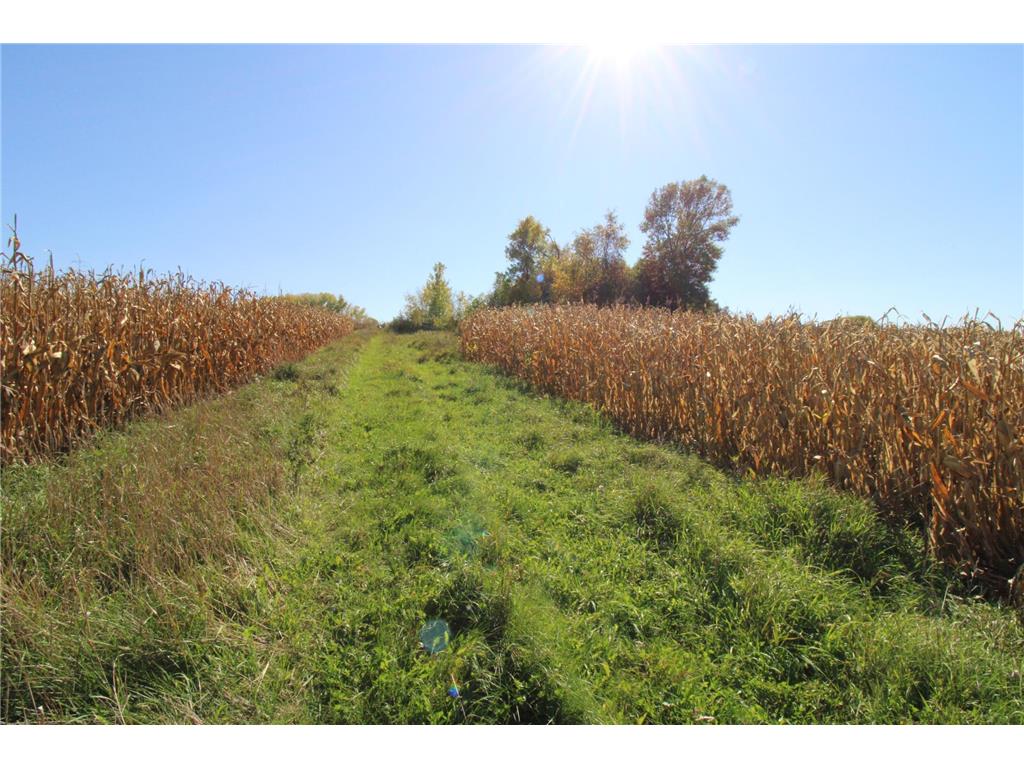 xxxx Eagle Lake Road E, Willmar, MN, 56201 MLS 5747926 Edina Realty