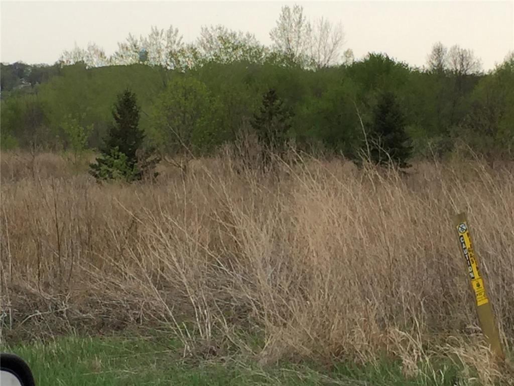 xxxx Eagle Lake Road E, Willmar, MN, 56201 MLS 5747926 Edina Realty