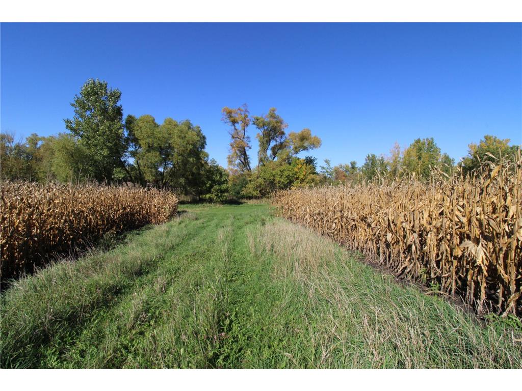 xxxx Eagle Lake Road E, Willmar, MN, 56201 MLS 5747926 Edina Realty