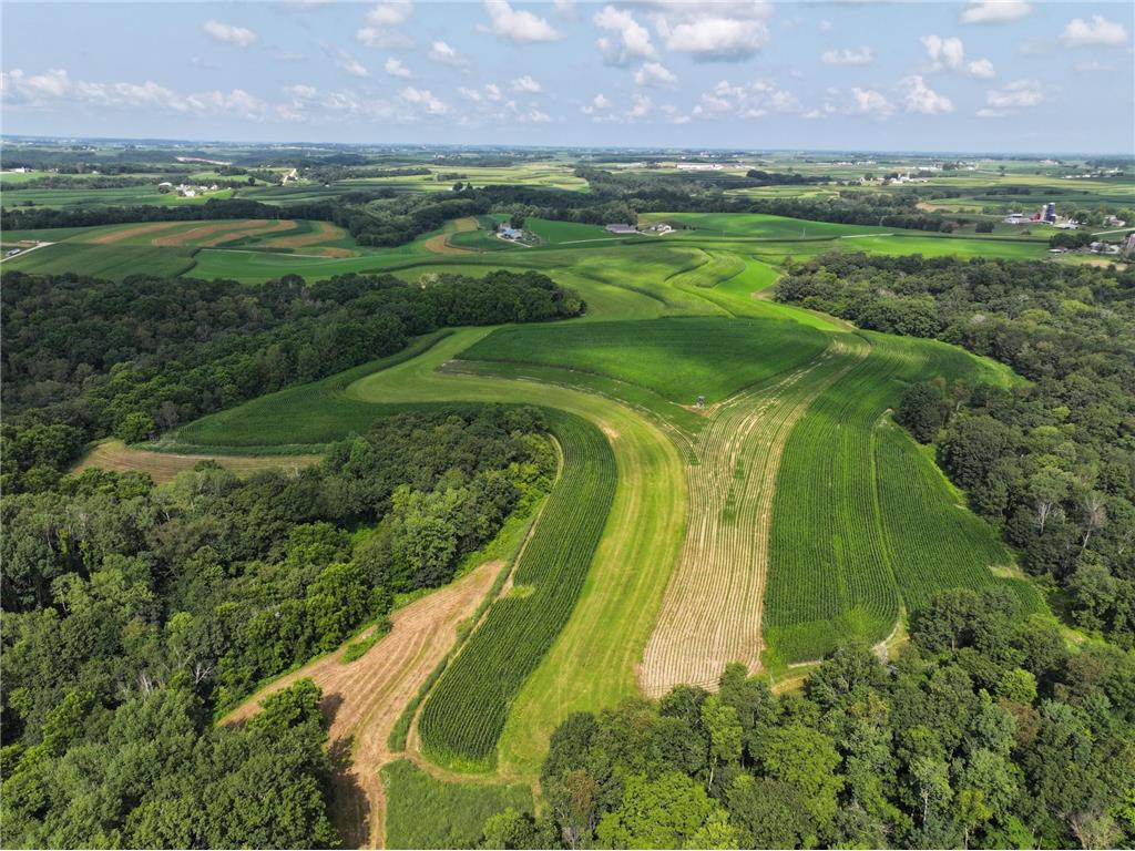 xxxx Gavin Road Caledonia MN 55921 6578115 image1