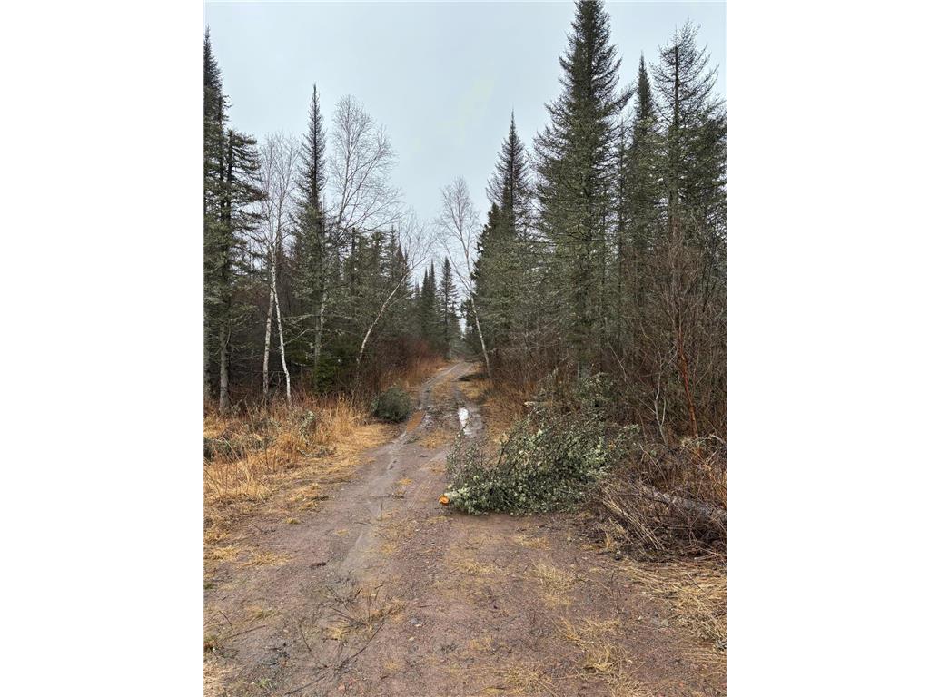 xxxx Highway 1, Beaver Bay Twp, MN, 55603 MLS 6521107 Edina Realty