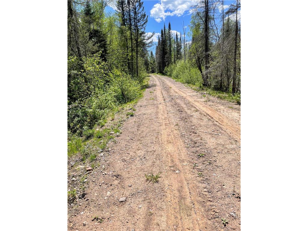 xxxx Highway 1 Finland MN 55603 6217599 image1