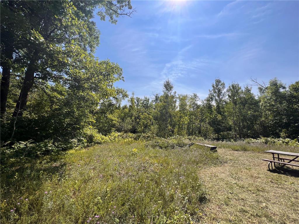 TBD Highway 65 Ford Twp MN 56342 6707224 image1