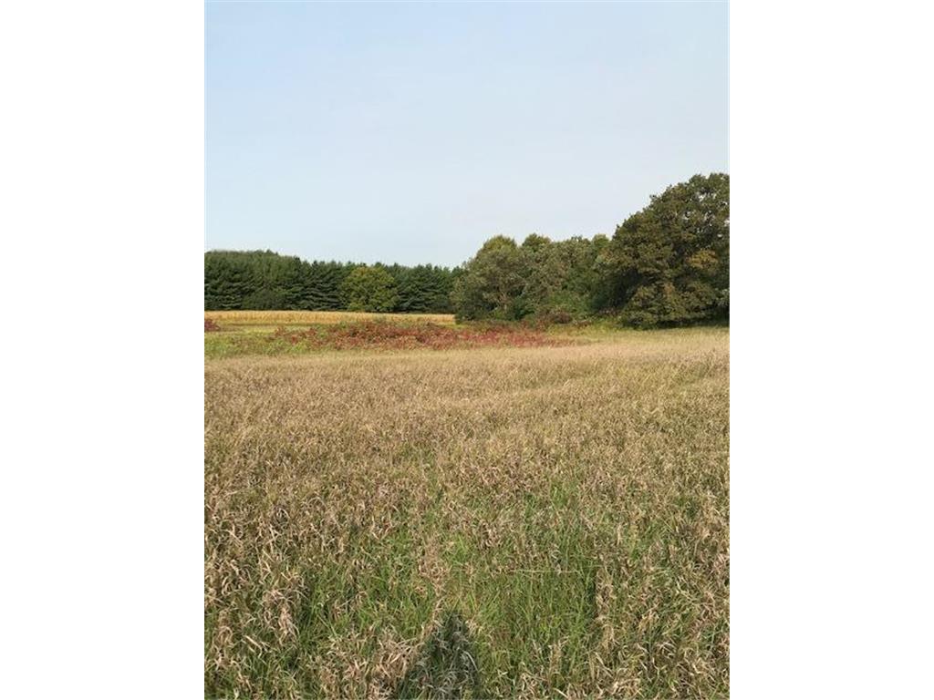 xxxx Island Estates (site 4) Drive NW Pine Island MN 55963 6327043 image1