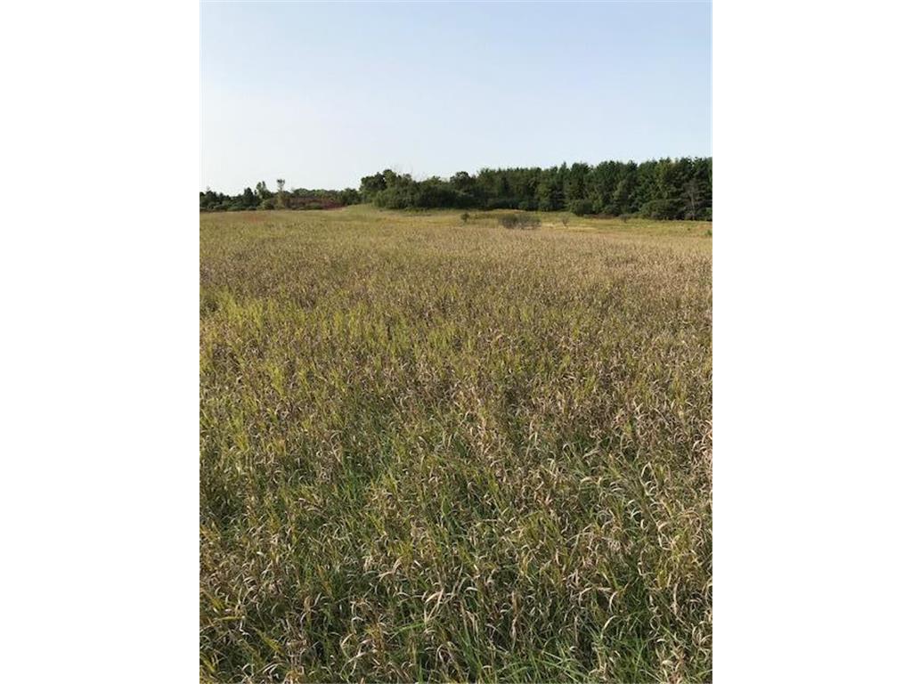 xxxx Island Estates (site 6) Drive NW Pine Island MN 55963 6327101 image1