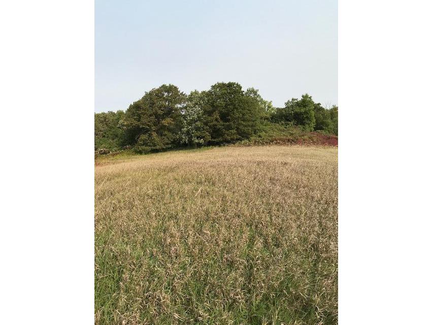 xxxx Island Estates (site11) Drive NW Pine Island MN 55963 5706598 image1