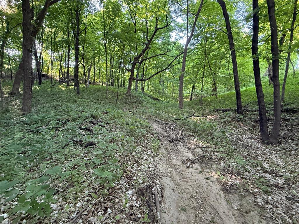 xxxx Jalger Avenue SE Buffalo MN 55313 6725262 image3