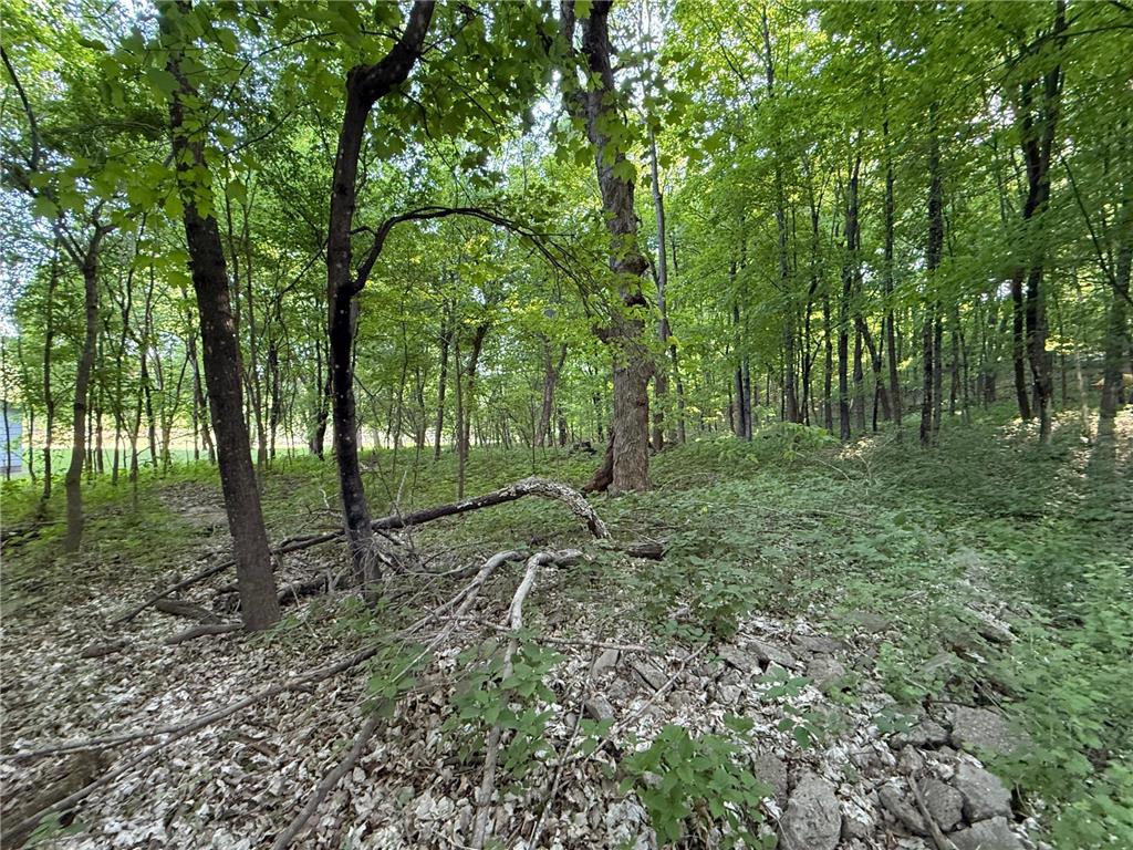 xxxx Jalger Avenue SE Buffalo MN 55313 6725262 image4