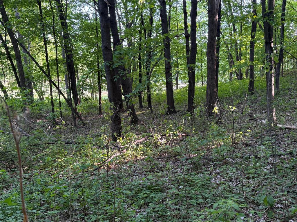 xxxx Jalger Avenue SE Buffalo MN 55313 6725262 image5