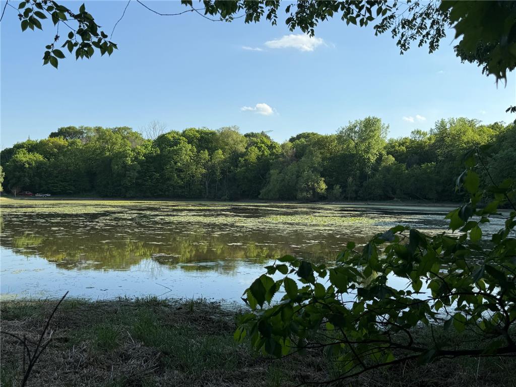 xxxx Jalger Avenue SE Buffalo MN 55313 6725262 image6