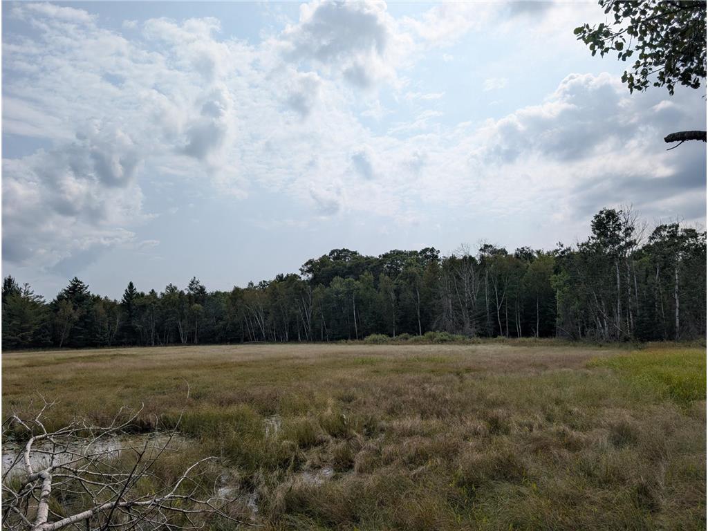 xxxx Joplin Street NW Elk River MN 55330 6770338 image17