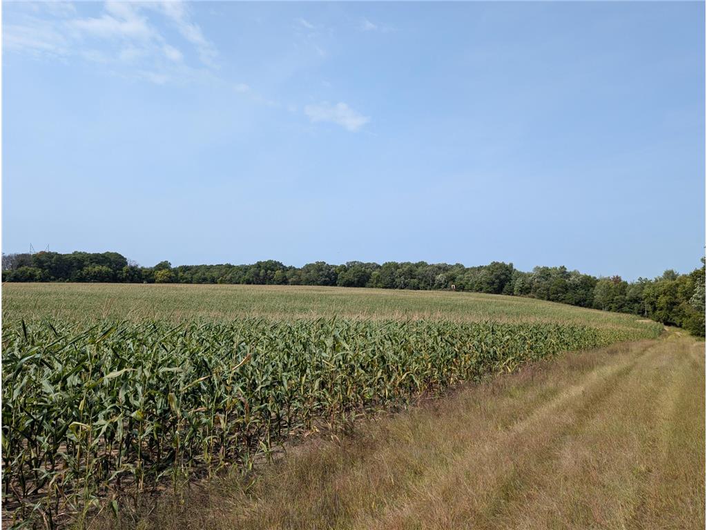 xxxx Joplin Street NW Elk River MN 55330 6770367 image28