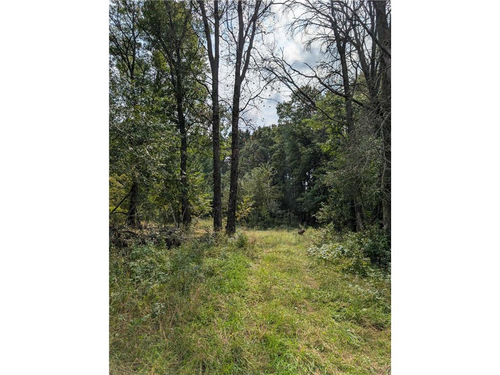 xxxx Joplin Street NW Elk River MN 55330 6770433 image16