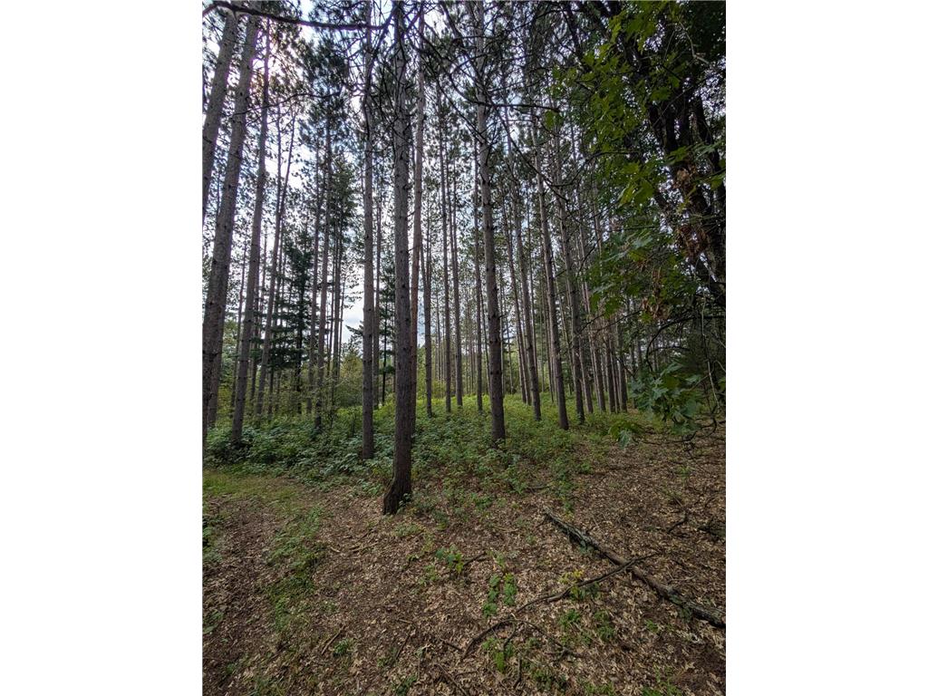 xxxx Joplin Street NW Elk River MN 55330 6770433 image20