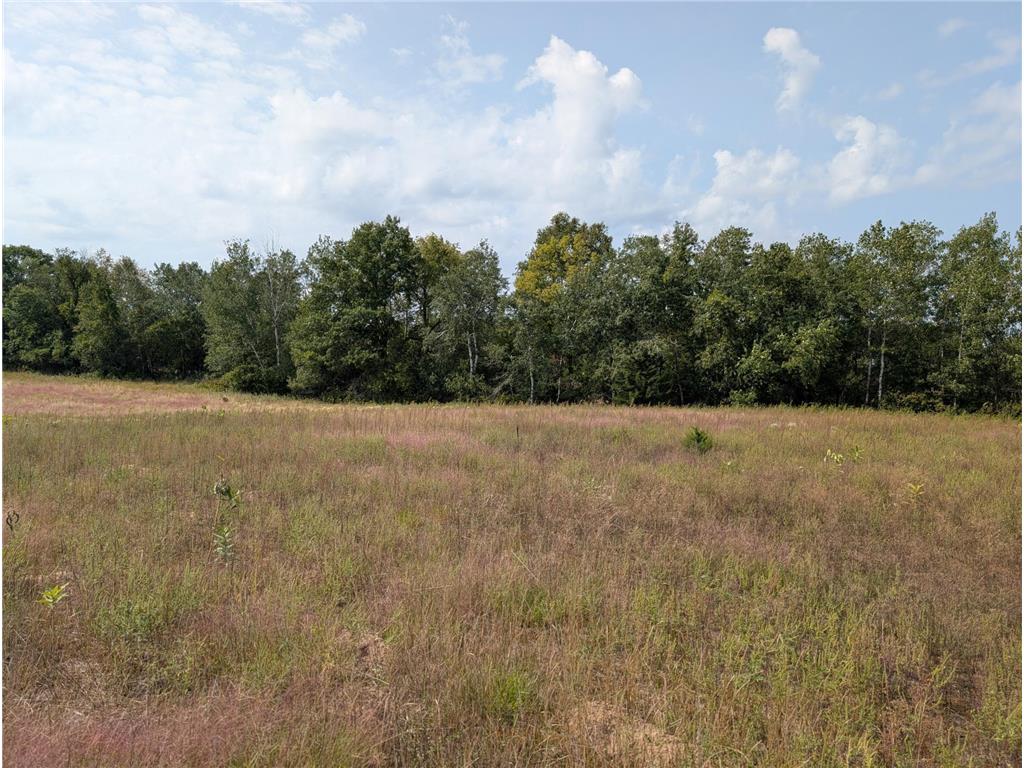 xxxx Joplin Street NW Elk River MN 55330 6770433 image21