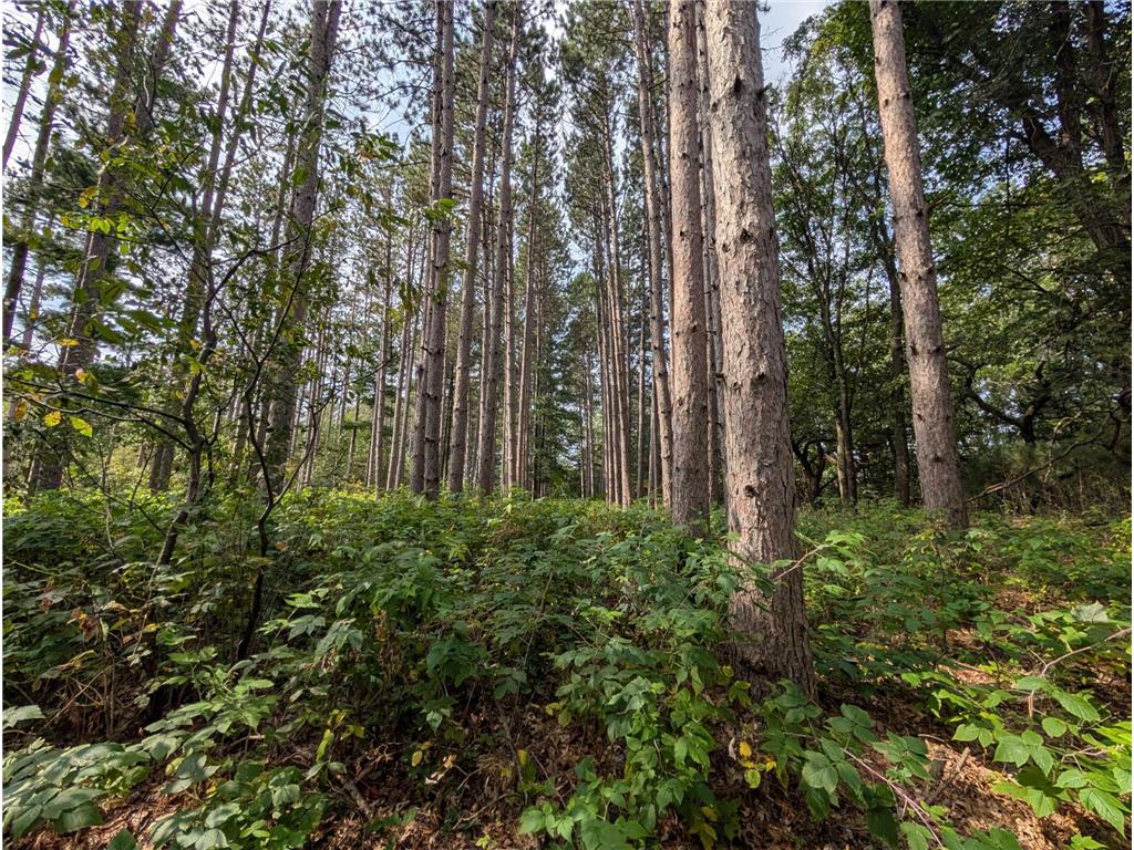 xxxx Joplin Street NW Elk River MN 55330 6770466 image25